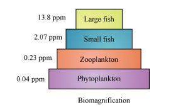 NCERT Solutions for Class 12 Biology Chapter 16 - Environmental Issues