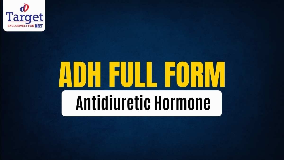 ADH Full Form Antidiuretic Hormone