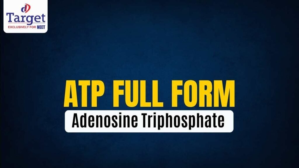 ATP Full Form Adenosine Triphosphate