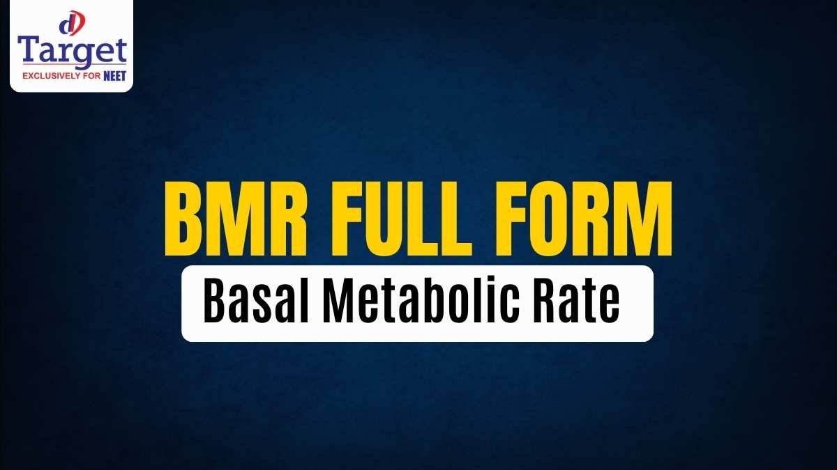 BMR Full Form
