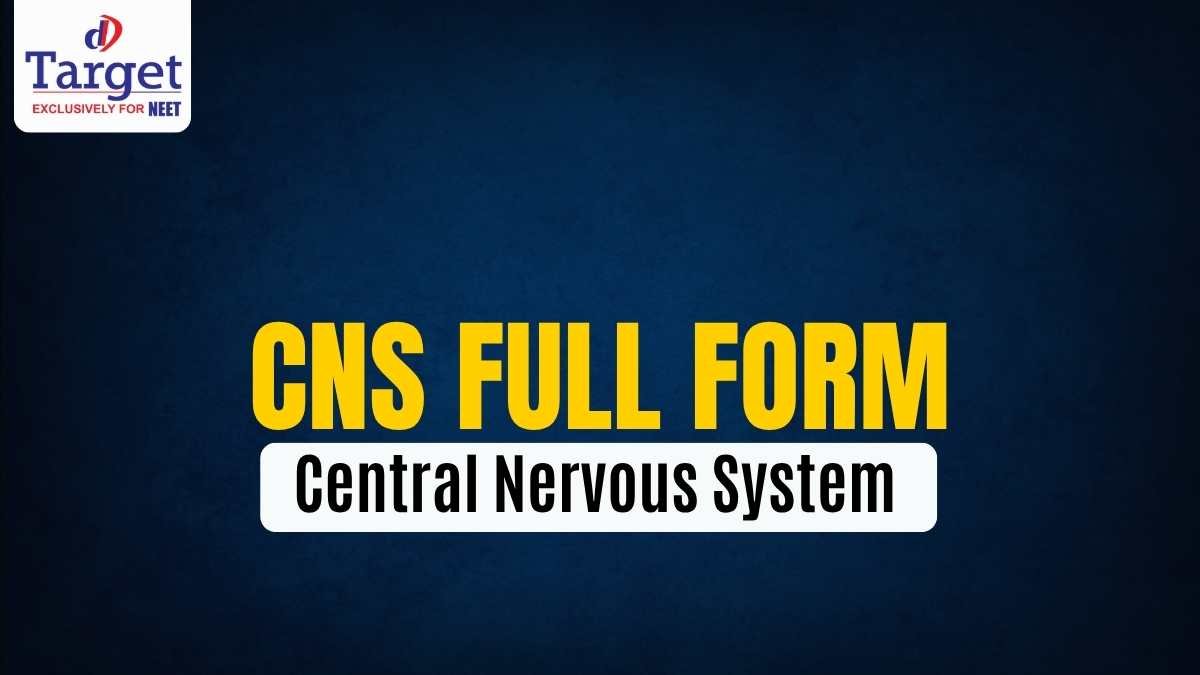 CNS Full Form Central Nervous System