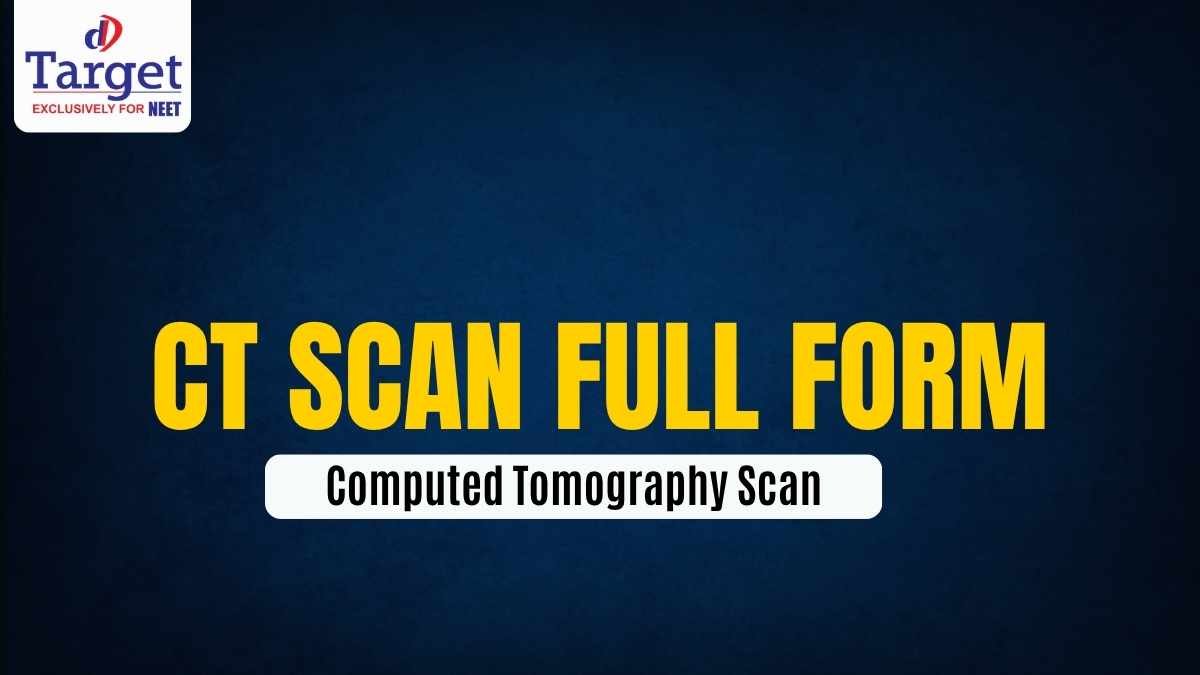 CT Scan Full Form Computed Tomography Scan