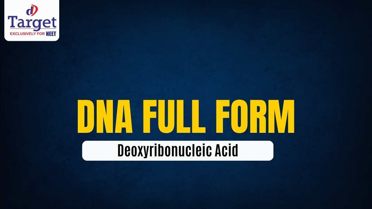 DNA – Deoxyribonucleic AcidaDNA Full Form: Deoxyribonucleic Acid