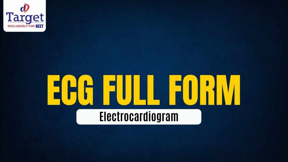 ECG Full Form - Electrocardiogram