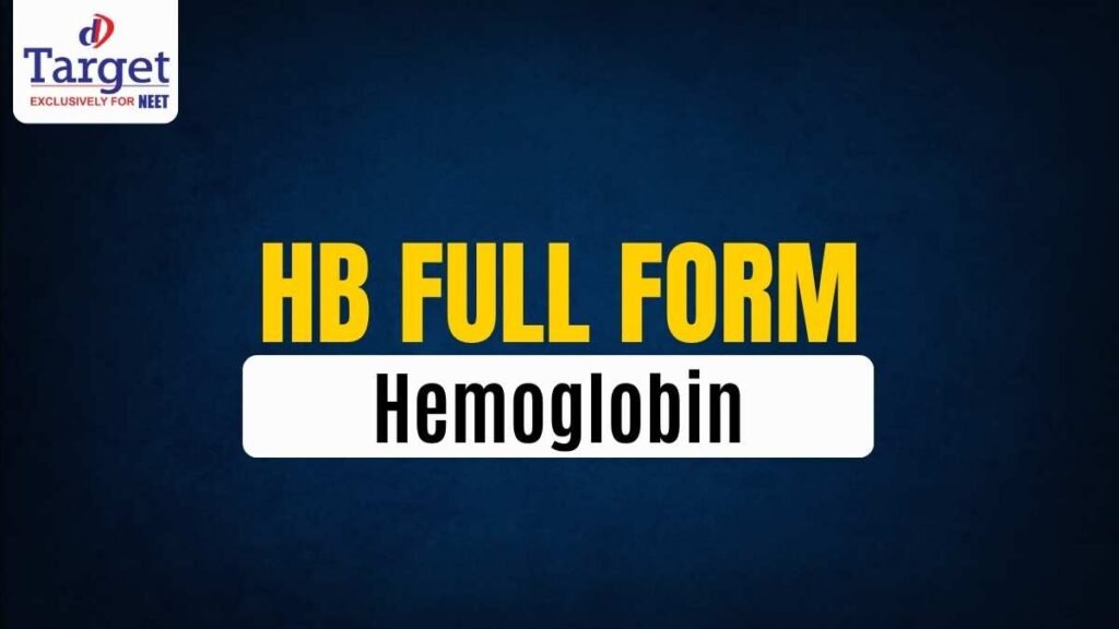 Hb Full Form Hemoglobin