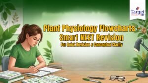 Plant Physiology Flowcharts