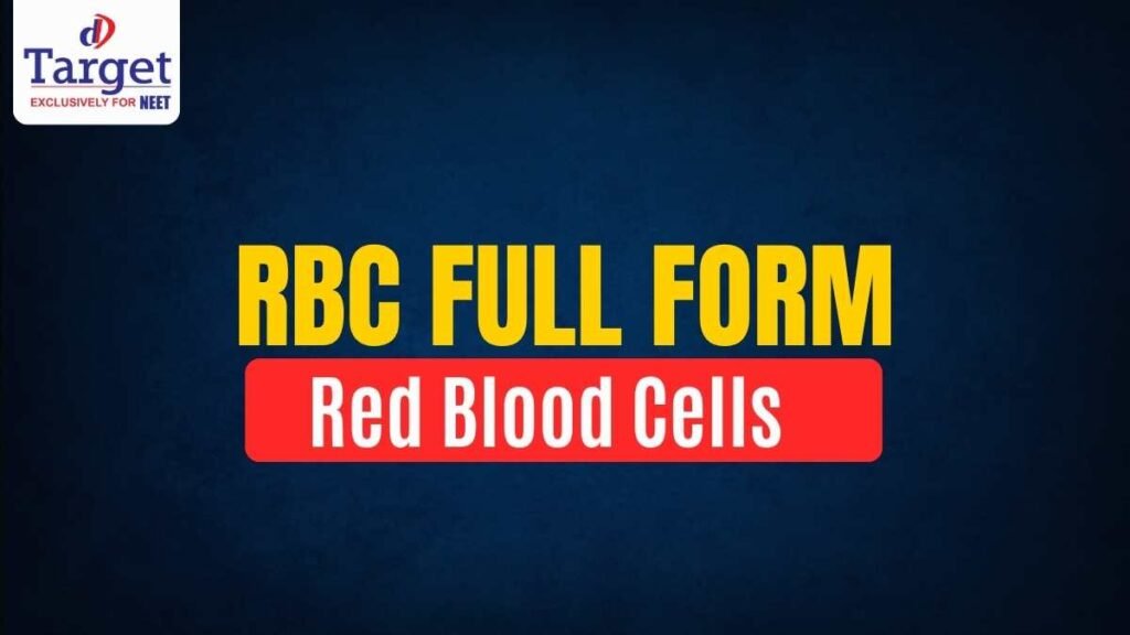 RBC Full Form Red Blood Cells