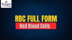 RBC Full Form Red Blood Cells