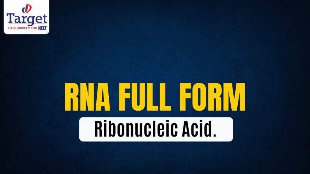 RNA – Ribonucleic Acid.