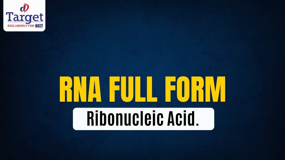 RNA – Ribonucleic Acid.