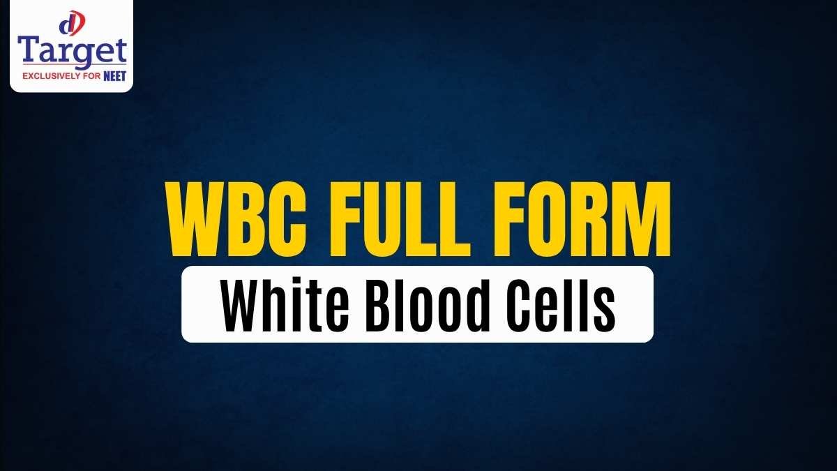 WBC Full Form White Blood Cells